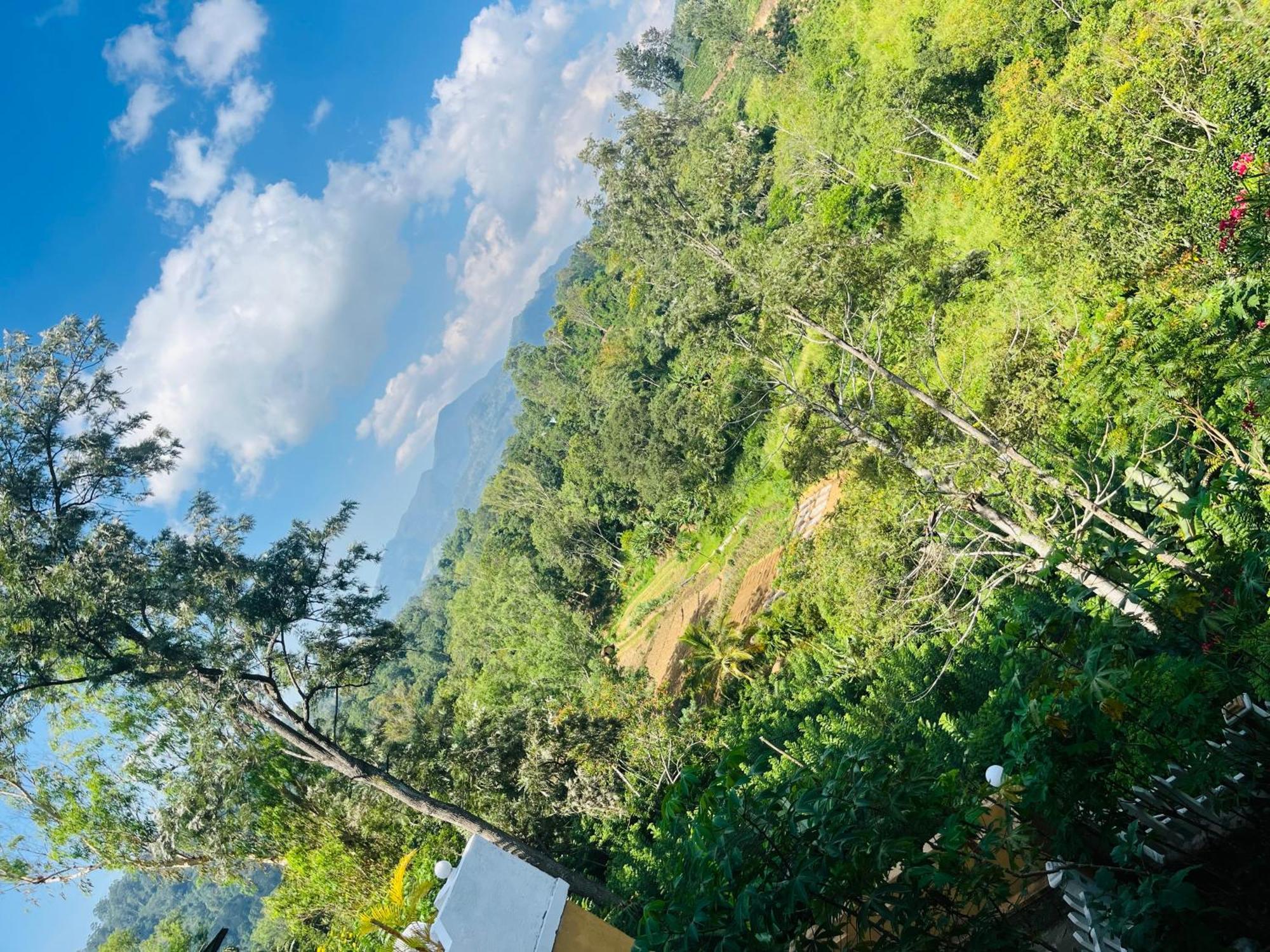 Viyanga Homestay Ella Bagian luar foto