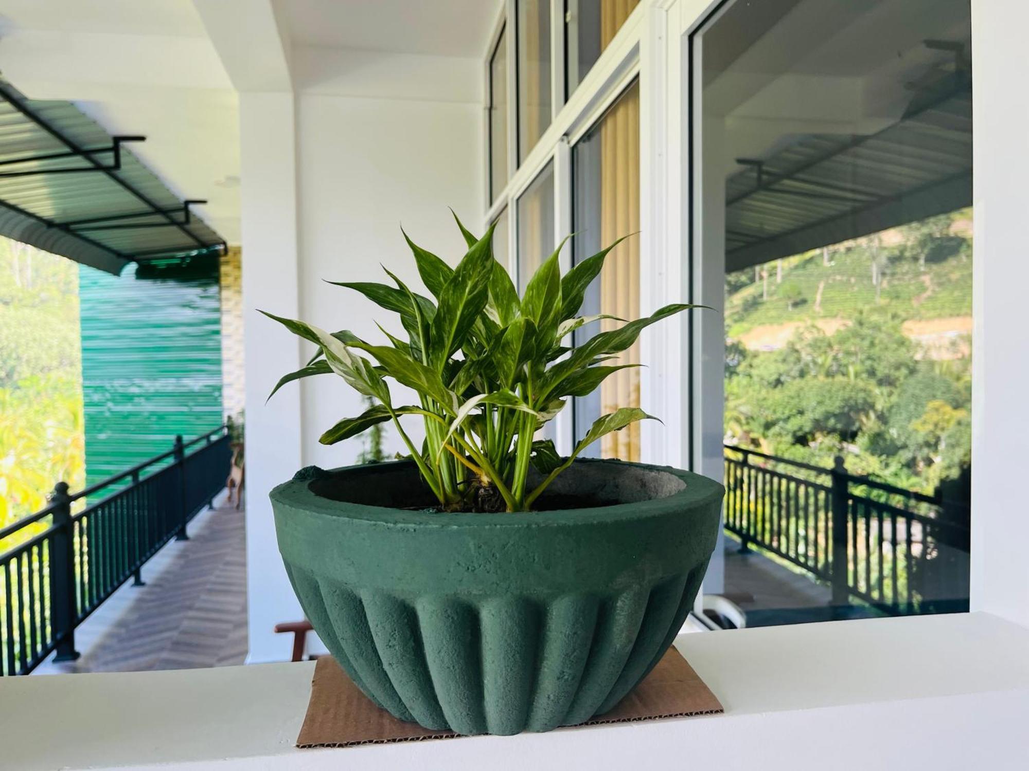 Viyanga Homestay Ella Bagian luar foto