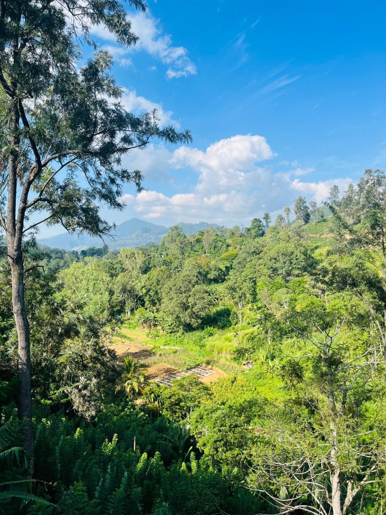 Viyanga Homestay Ella Bagian luar foto