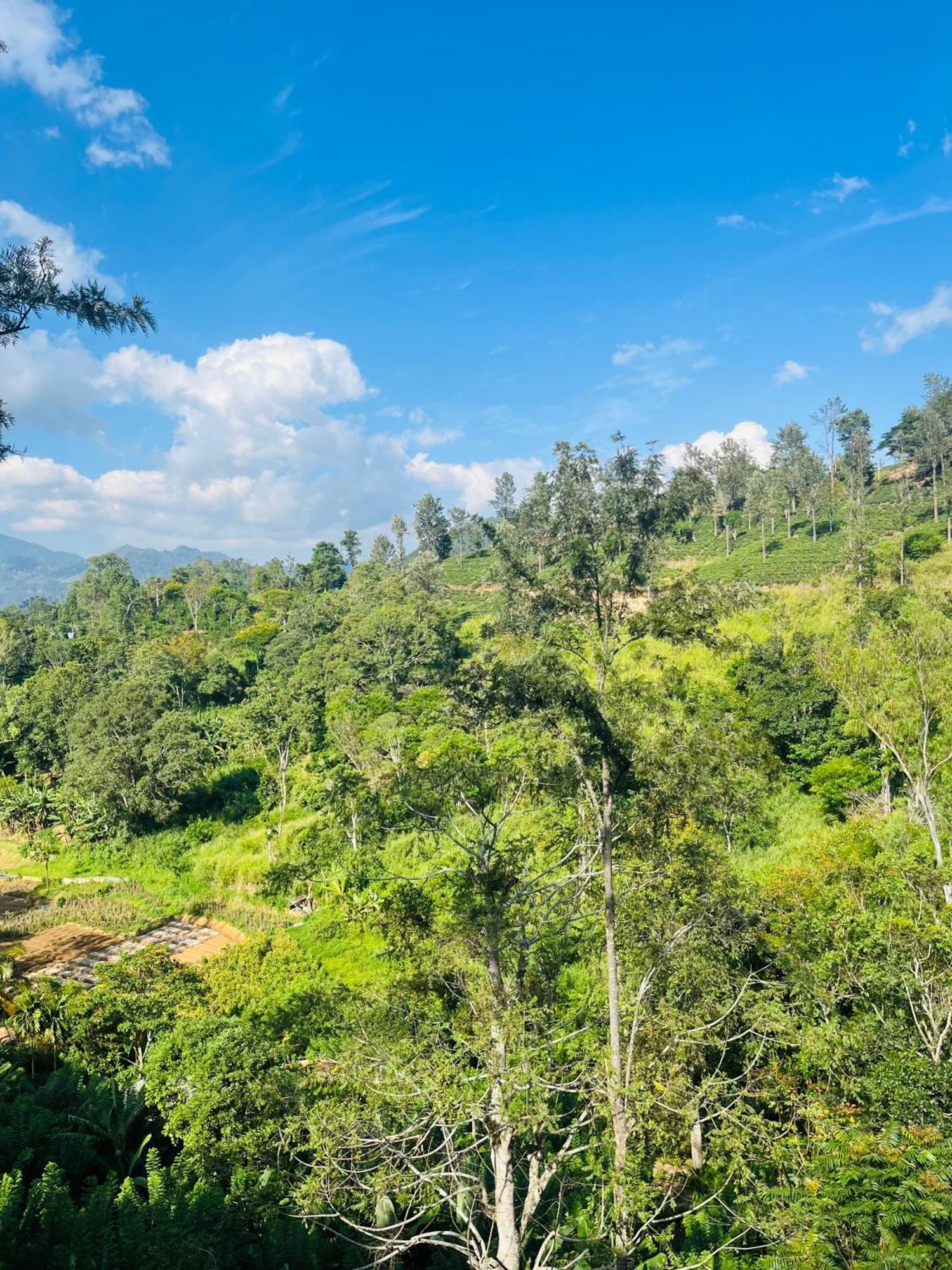 Viyanga Homestay Ella Bagian luar foto